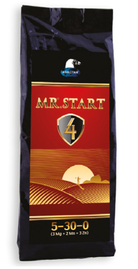 MR. START4