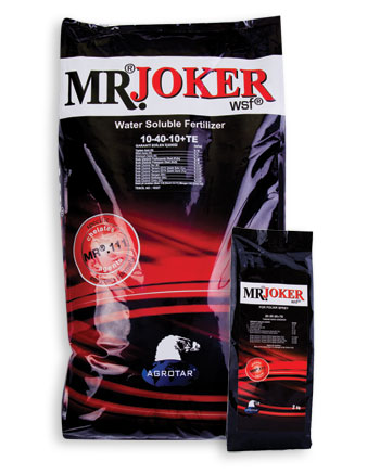 MR.JOKER
