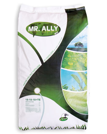 MR.ALLY 