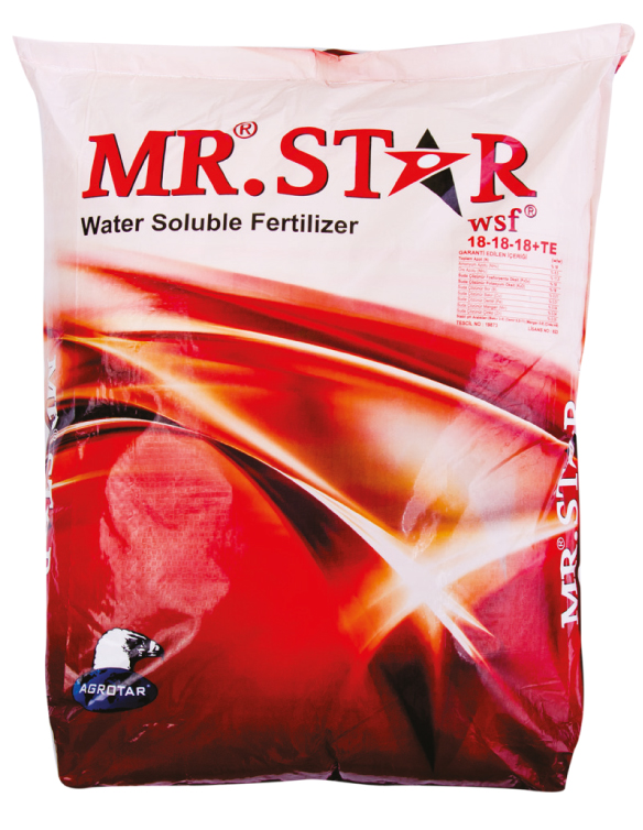 MR.STAR