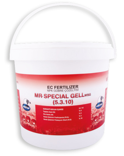 MR.SPECIAL GEL 