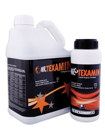 MR.TEXAMIN 